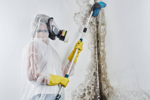 Crawl Space Mold Removal in Kettering, MD