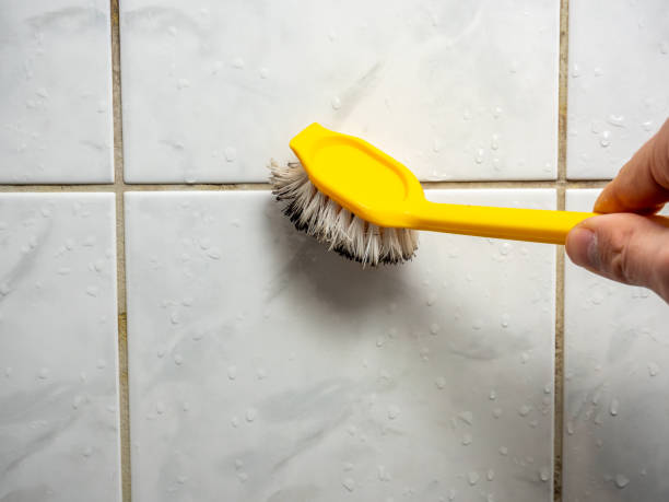 Best Mold Removal Company Near Me  in Kettering, MD